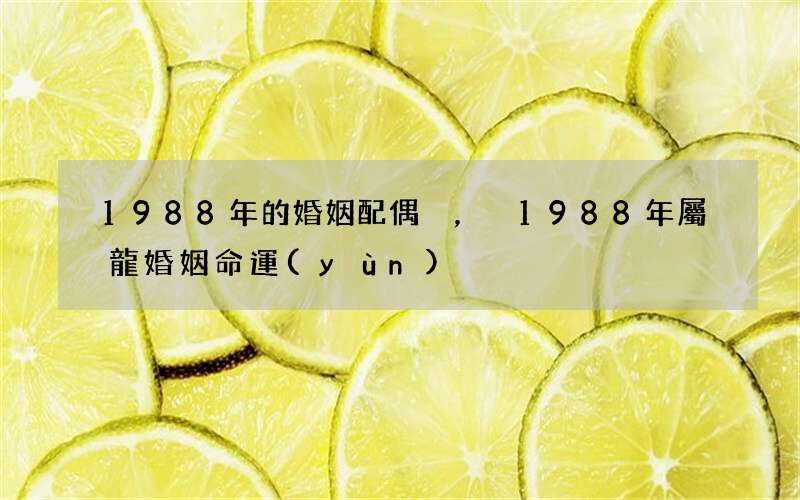 1988年的婚姻配偶，1988年屬龍婚姻命運(yùn)
